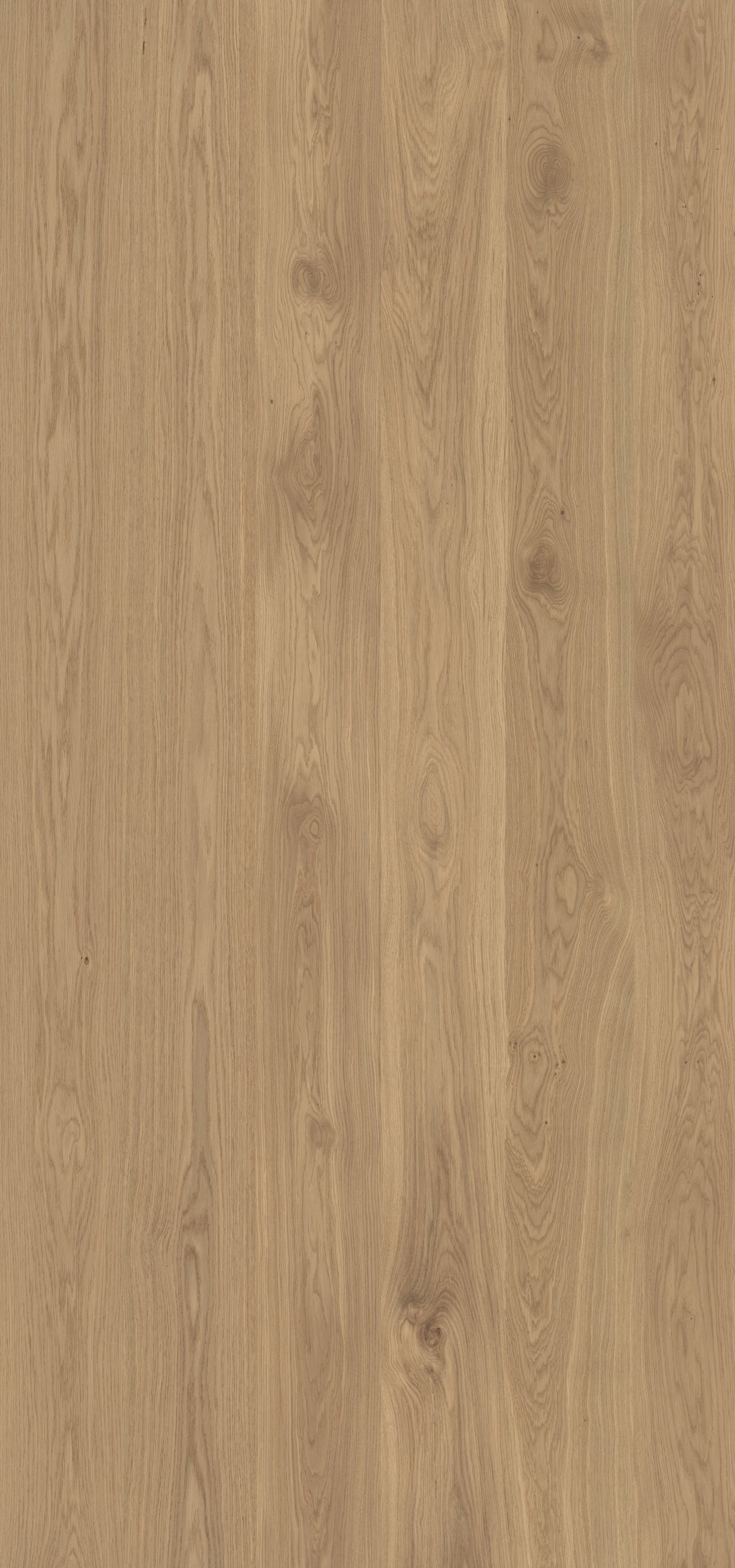 Velkoformátový obklad Kobert-In PE KB89 COVENTRY OAK mat